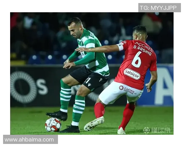 波尔图与塞图巴尔对决分析及比赛前瞻全面解读